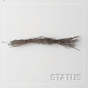 Нет заданного изображения 