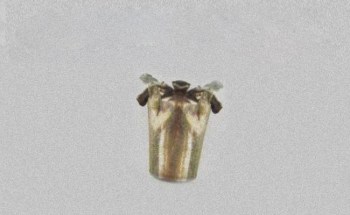 Нет заданного изображения 